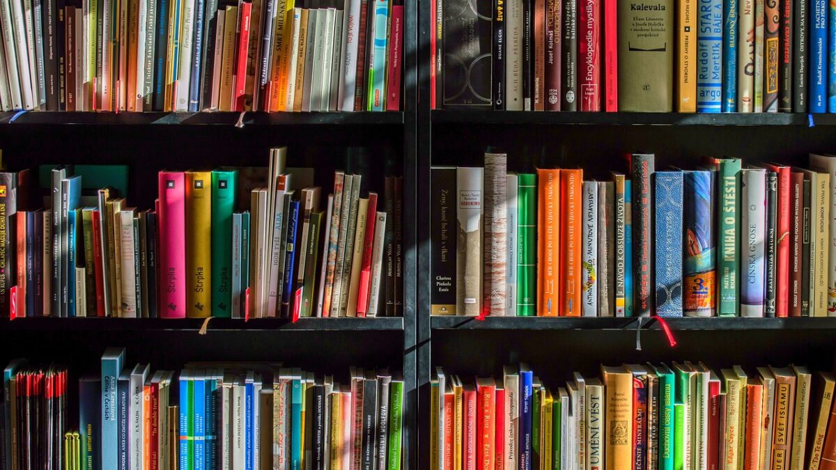 Many books on a shelf