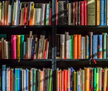 Many books on a shelf