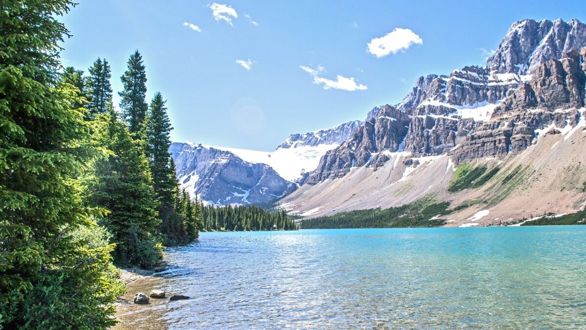 Mountains and trees