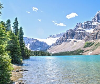 Mountains and trees