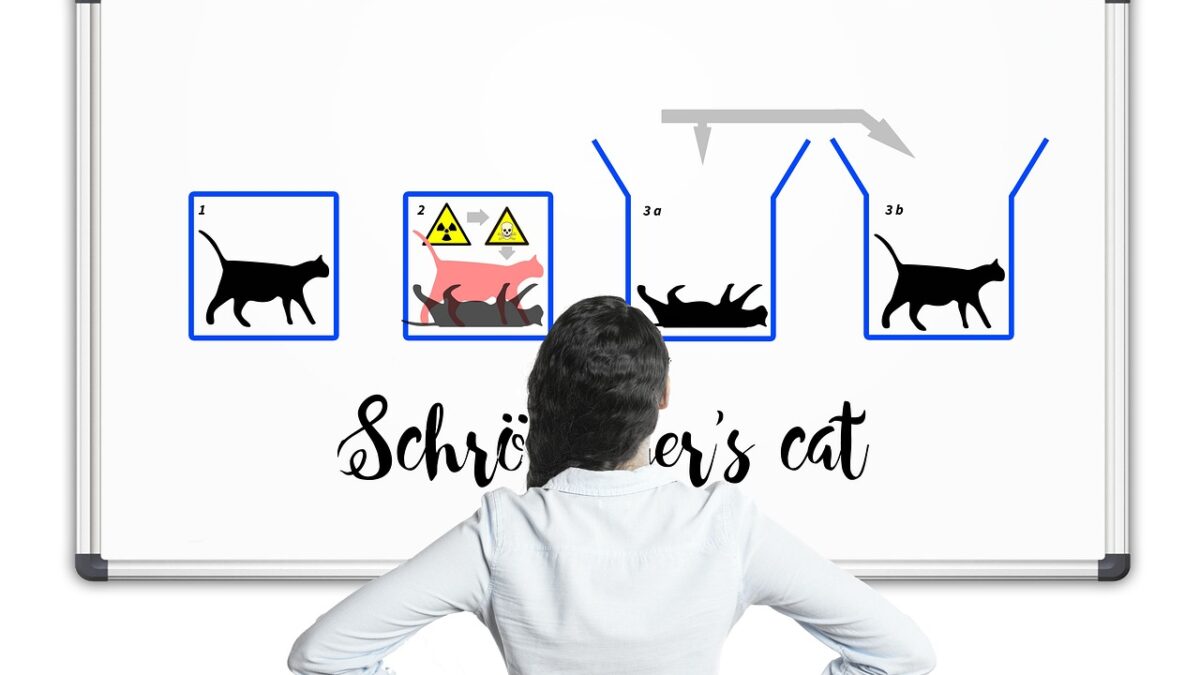 Lady looking at Schrödinger's cat